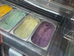 -极拉图·现制冰淇淋(大卫城店)