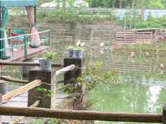 -蜀宴新村·柴火鸡(柏水店)