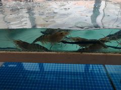 -品鲜村农家菜·阳澄湖大闸蟹(总店)