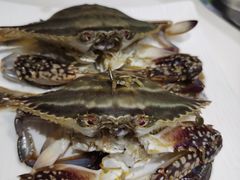 -蔚海之都·象山蒸汽海鲜(仙霞路店)