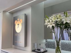 -三只熊皮肤管理中心旗舰店