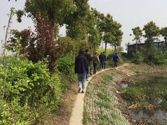 -小鱼草莓采摘园农家乐·小鱼餐厅