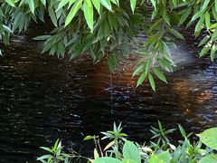 -三亚亚龙湾五号度假别墅酒店