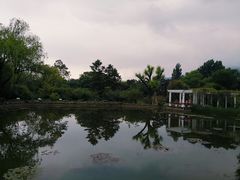 -国家植物园南园