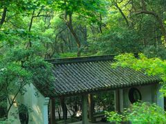 -虎跑公园
