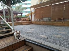 景观位-椿风·养身茶饮(吉大店)