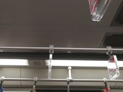 -桃浦新村(地铁站)