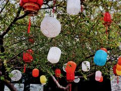 -春风习习