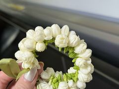 -老牌依强牛肉店(达道总店)