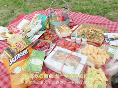 -白塔湖国家湿地公园