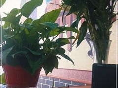 -味好美土菜(迎宾东路店)