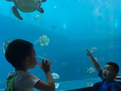 -瑞德姆美人鱼海底演艺主题餐厅(亚龙湾店)