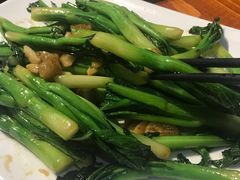 -顺德了能馆(虎门店)