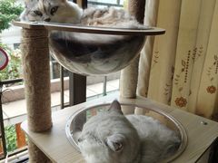 -番禺广场(市桥街道)