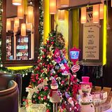 🌲帅哥陪我过圣诞 浪漫不打烊🎅