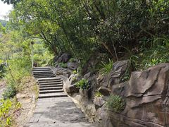 -广州白江湖森林公园