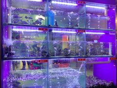 -石锅苗苗鱼(武汉首店)
