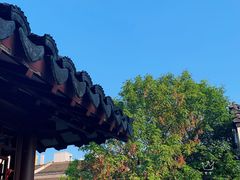 -奇芳阁·百年清真南京菜(夫子庙店)