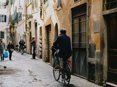 -圣母百花大教堂穹顶