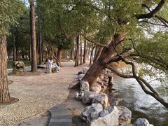-东湖落雁景区