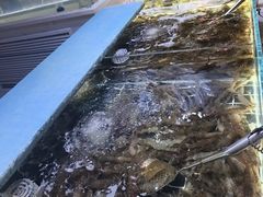 -聚盛源蒸汽海鲜火锅烤肉自助(巨川金海岸购物广场店)