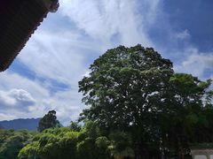 -绩溪龙川景区