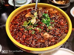 -陈麻婆豆腐总店
