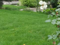 -中家鑫园温泉酒店鑫悦汤泉