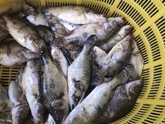 -大通湖