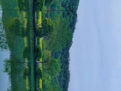 -八卦田遗址公园