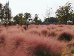 -嘉北郊野公园