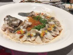 清蒸虎斑鱼-福玺荟(外滩罗斯福店)