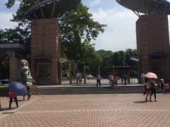 -东莞市科学技术博物馆