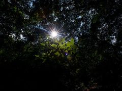 -牛鱼嘴原始生态风景区