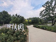 -大望京公园