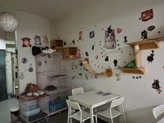 -我爱猫咪·猫咖·狗咖·安哥拉兔·羊驼咖(小寨华旗店)