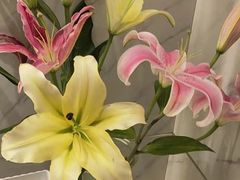 -渝乡辣婆婆·川菜 水煮鱼(安平店)