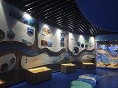 -广东惠东海龟国家级自然保护区