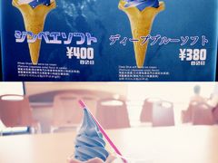 -大阪海游馆