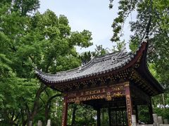-汇龙潭