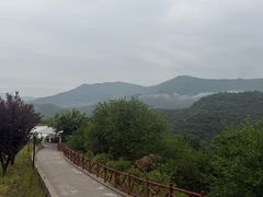 -定都峰