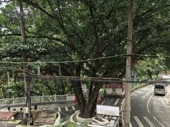 -林中乐辣子鸡(歌乐山总店)