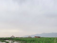 -哈素海