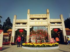 -三水森林公园