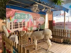 -佟小曼手工茶饼坊(鼓浪屿1店)