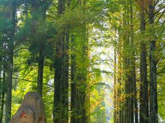 -井冈山风景名胜区