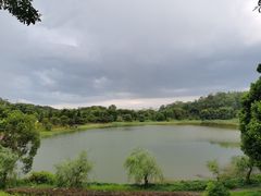 -福建鲤鱼洲酒店