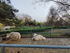 -长白岛森林公园