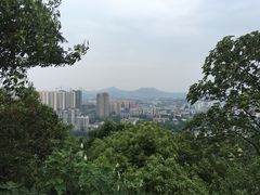 -石峰公园