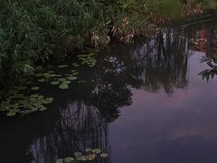 -四海公园(南山区)